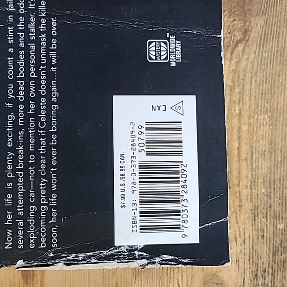 "Person of Interest" by Emery Harper Celeste Eagan Mystery - Picture 4 of 12